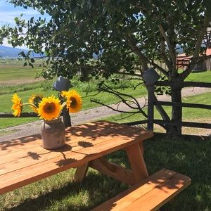 Meet your Posher, Deanna